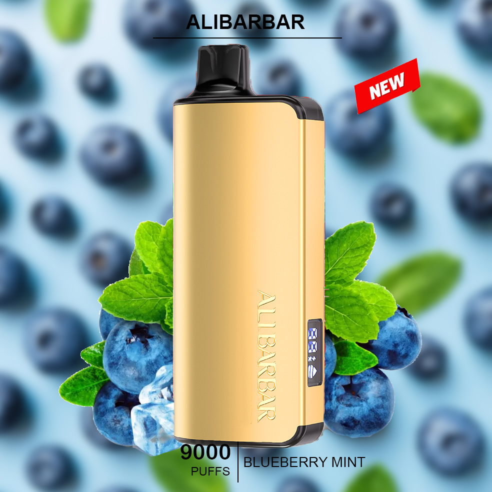 ALIBARBAR INGOT - BLUEBERRY MINT – 9000 PUFFS — image 1