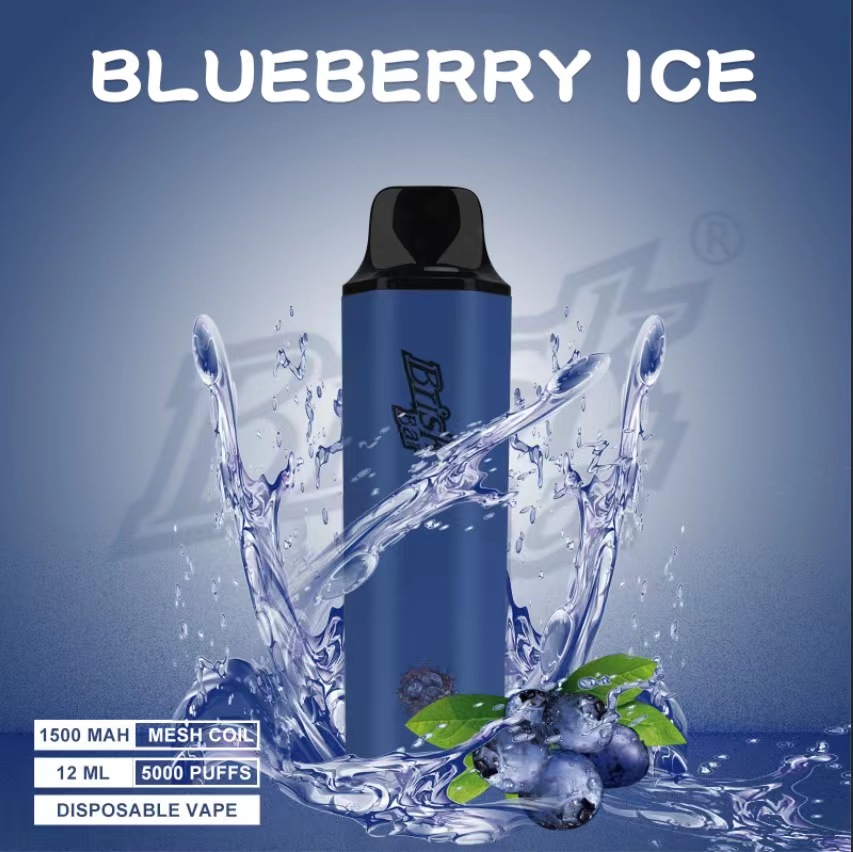 BRISK BAR BLUEBERRY ICE – 5000 PUFFS — image 1