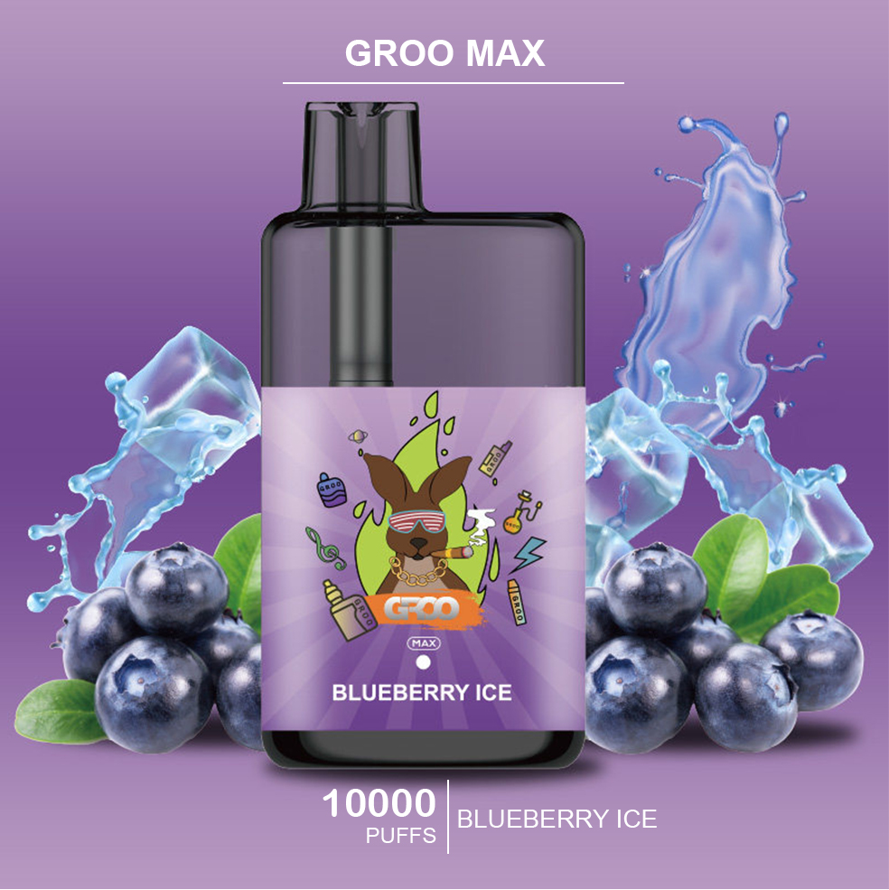 GROO MAX - BLUEBERRY ICE - 10000 PUFFS — image 1