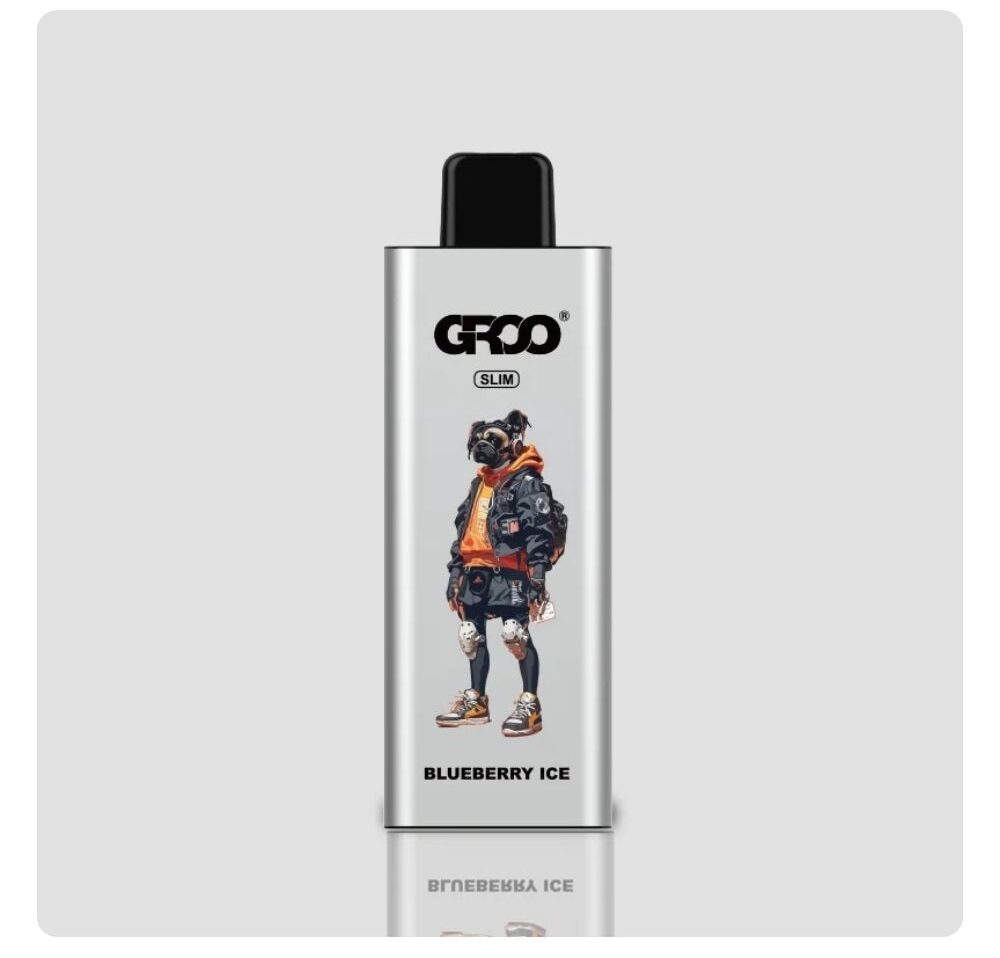 GROO Slim 9000 Puffs Blueberry Ice — image 1