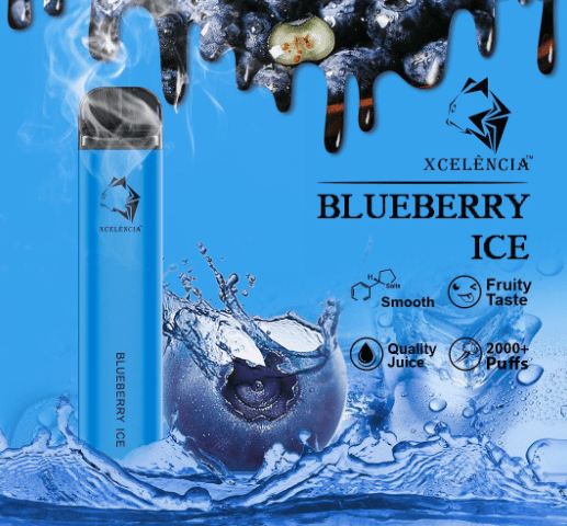 GUNNPOD BLUEBERRY ICE – 2000 PUFFS — image 1