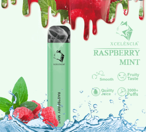 GUNNPOD RASPBERRY MINT – 2000 PUFFS — image 1
