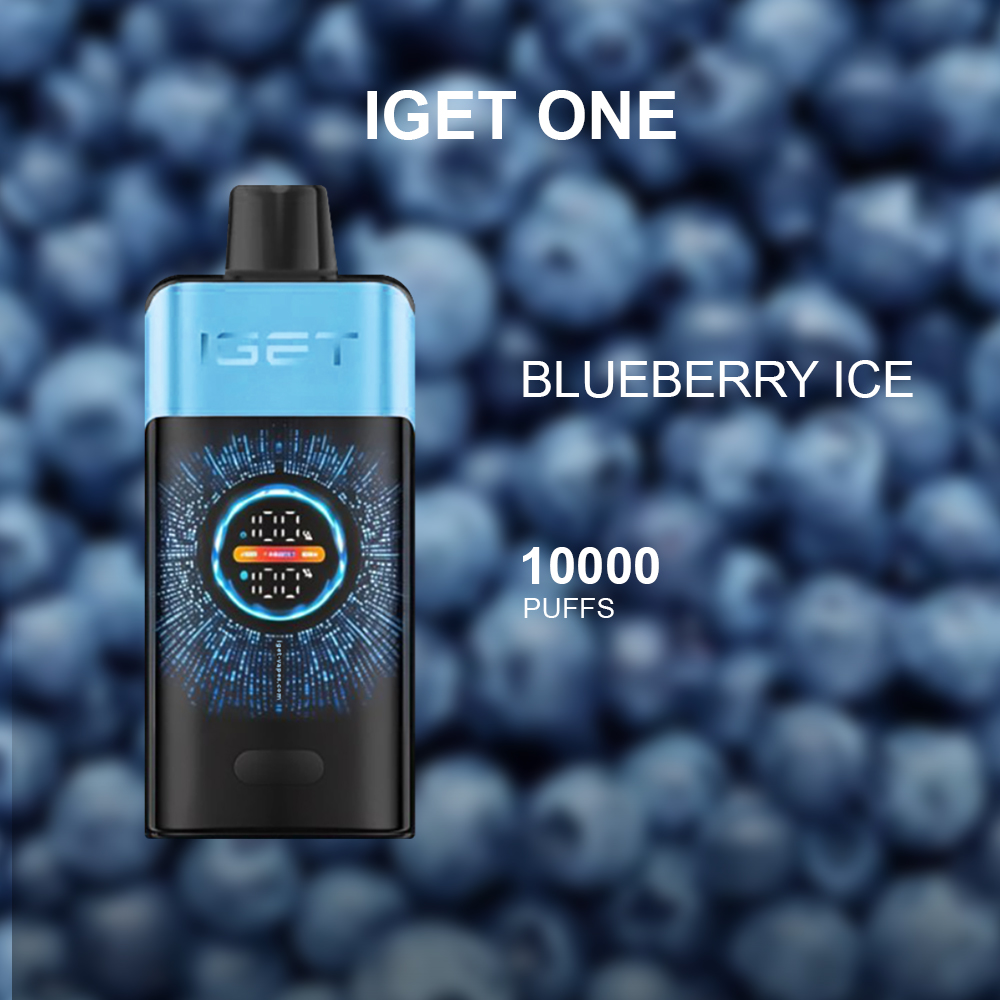 IGET ONE BLUEBERRY ICE - 12000 PUFFS — image 1