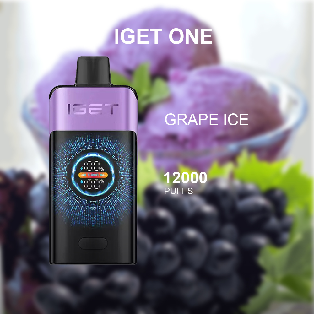 IGET ONE - GRAPE ICE - 12000 PUFFS — image 1