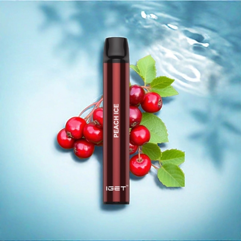 IGET SHION CRANBERRY – 600 PUFFS — image 1