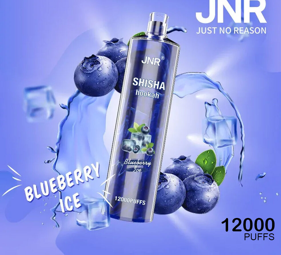JNR SHISHA HOOKAH - BLUEBERRY ICE - 12000 PUFFS — image 1