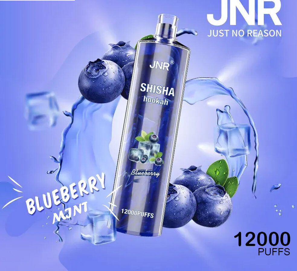 JNR SHISHA HOOKAH - BLUEBERRY MINT - 12000 PUFFS — image 1