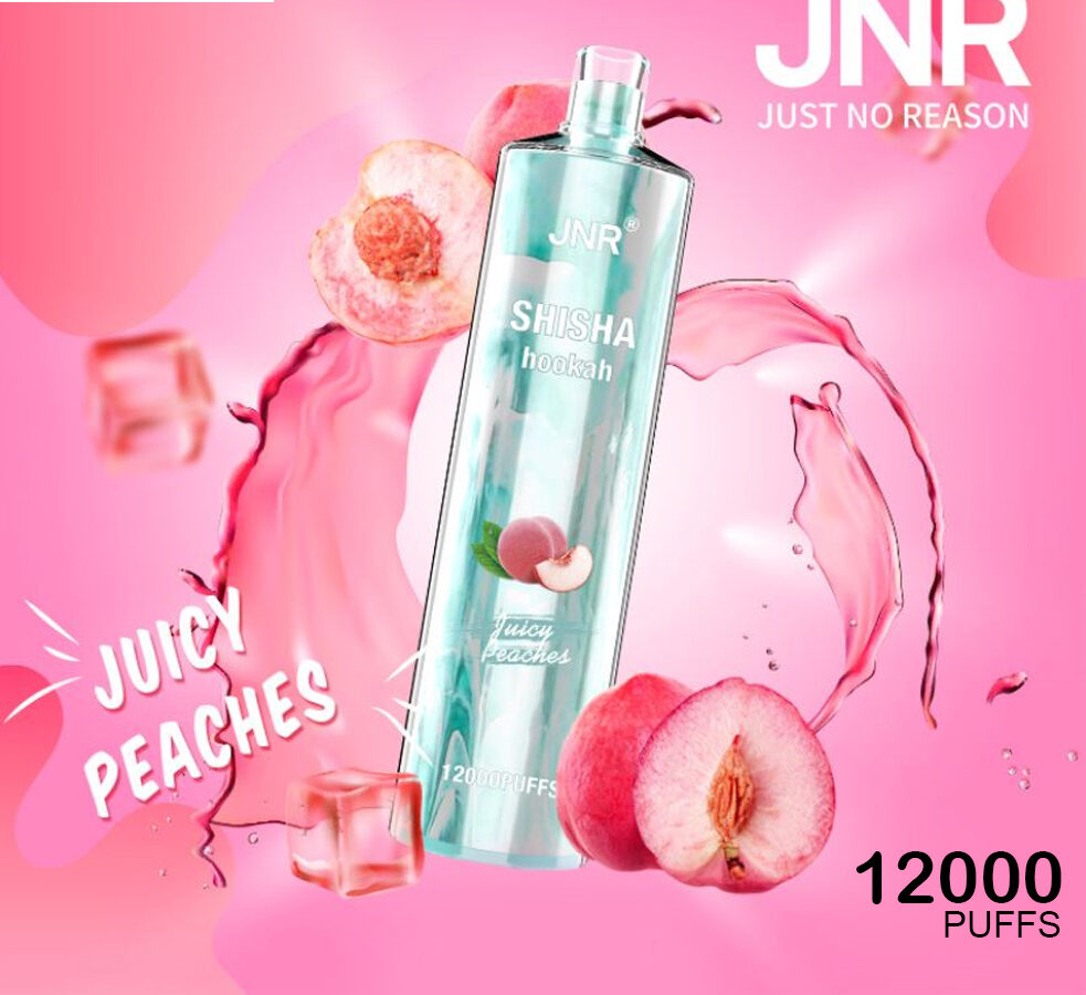 JNR SHISHA HOOKAH - JUICY PEACHES - 12000 PUFFS — image 1