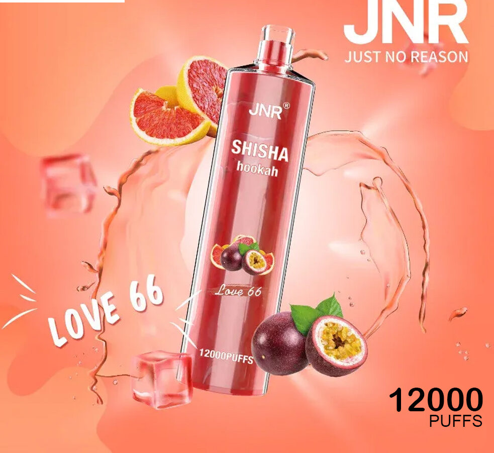JNR SHISHA HOOKAH - LOVE 66 - 12000 PUFFS — image 1