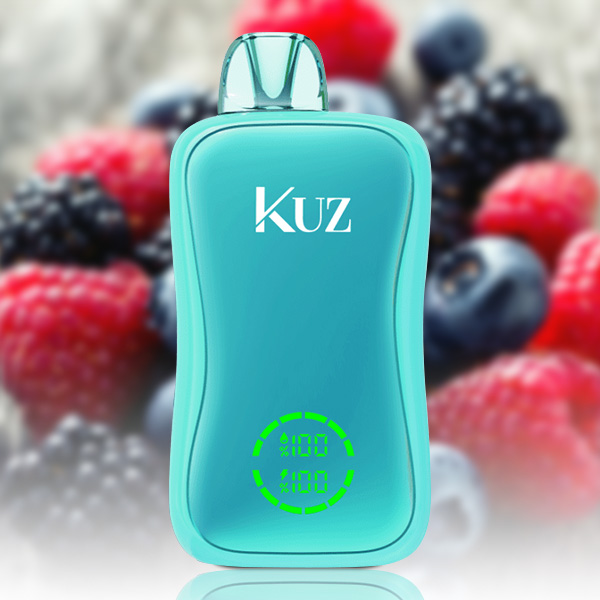 Kuz Flow 25000 Puffs Blue Raz Slushie — image 1