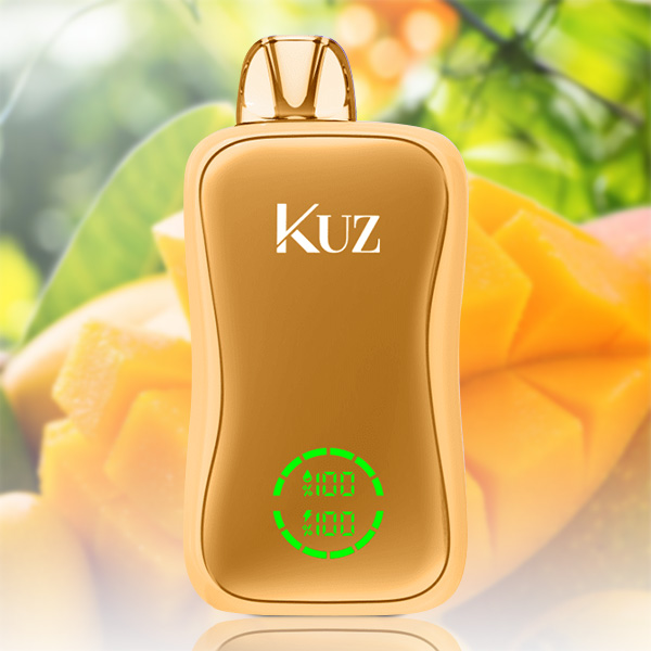 Kuz Flow 25000 Puffs Mango Slushie — image 1