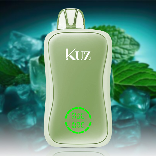 Kuz Flow 25000 Puffs Miami Mint — image 1