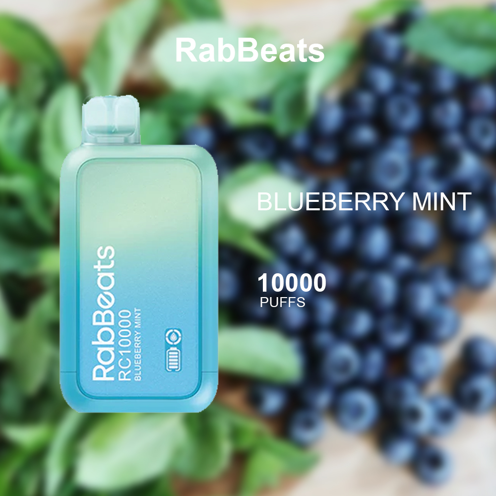 RABBEATS BAR BLUEBERRY MINT - 10000 PUFFS — image 1