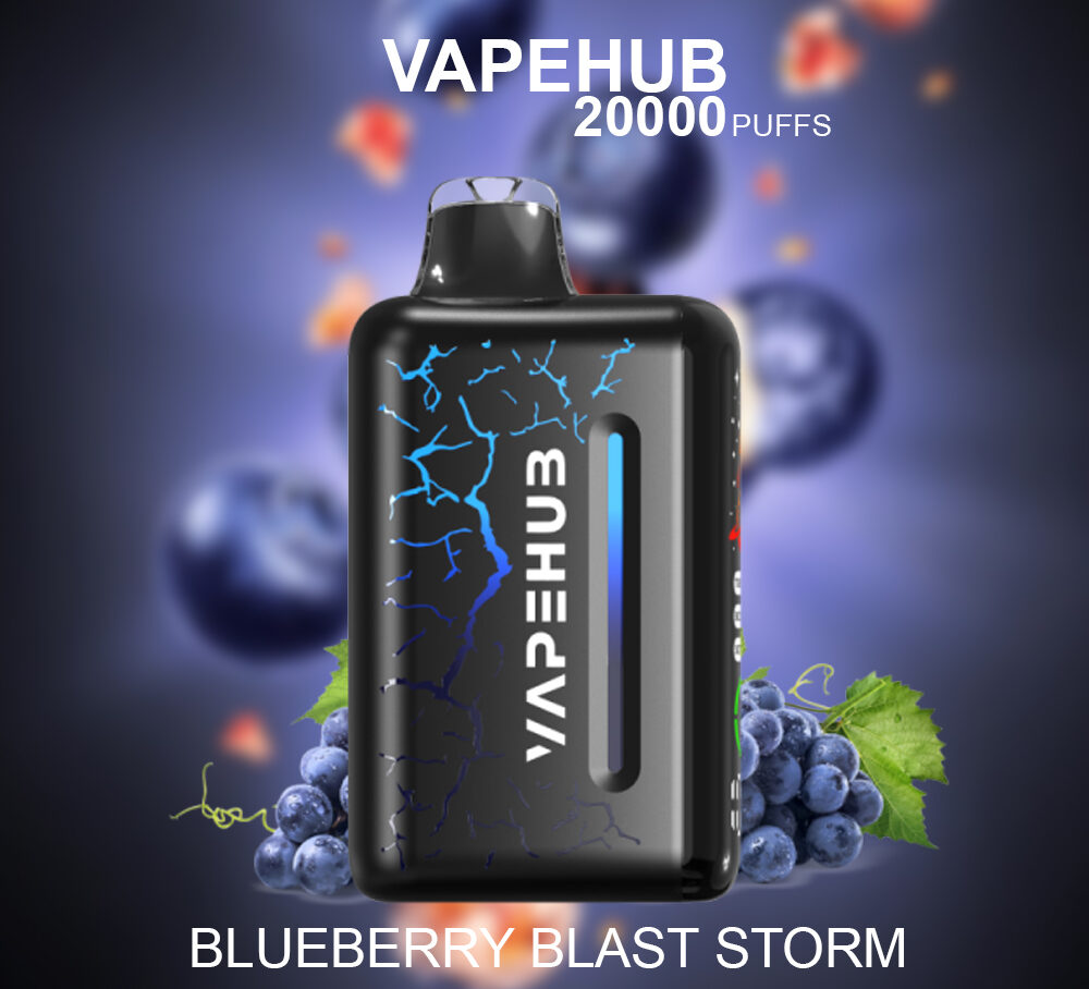 VAPEHUB BLUEBERRY BLAST STORM - 20000 PUFFS — image 1