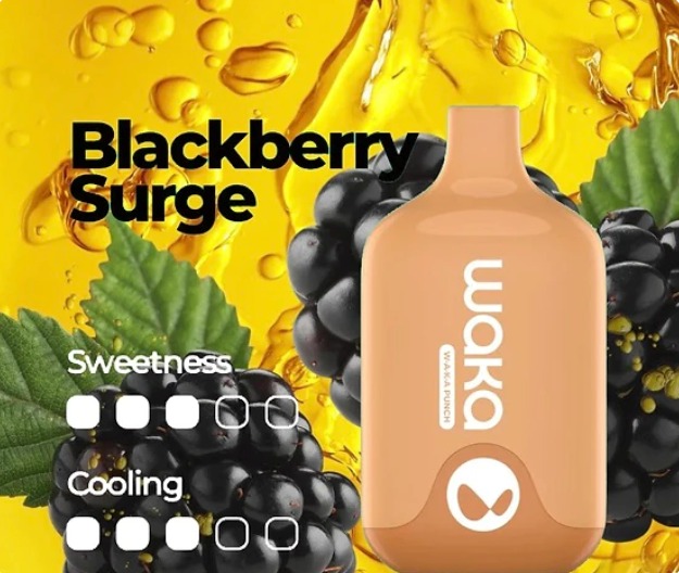 WAKA SMASH BLACKBERRY SURGE - 6000 PUFFS — image 1