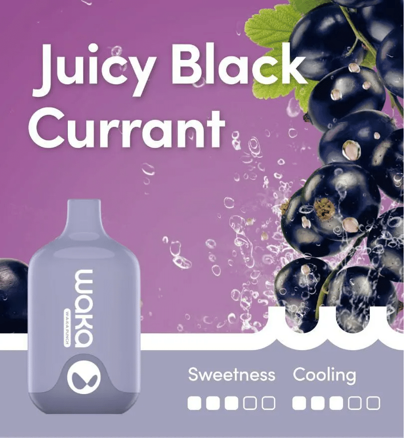 WAKA SMASH JUICY BLACK CURRANT - 6000 PUFFS — image 1