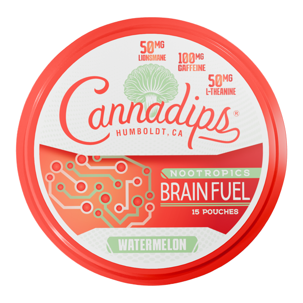 Watermelon CANNADIPS Brain Fuel Pouches — image 1