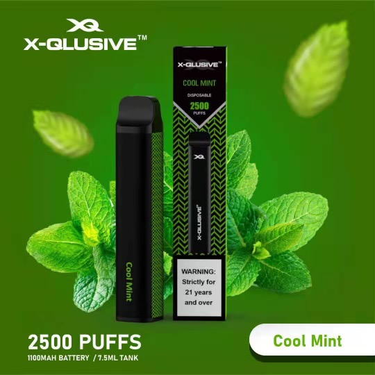 X-QLUSIVE COOL MINT – 2500 PUFFS — image 1