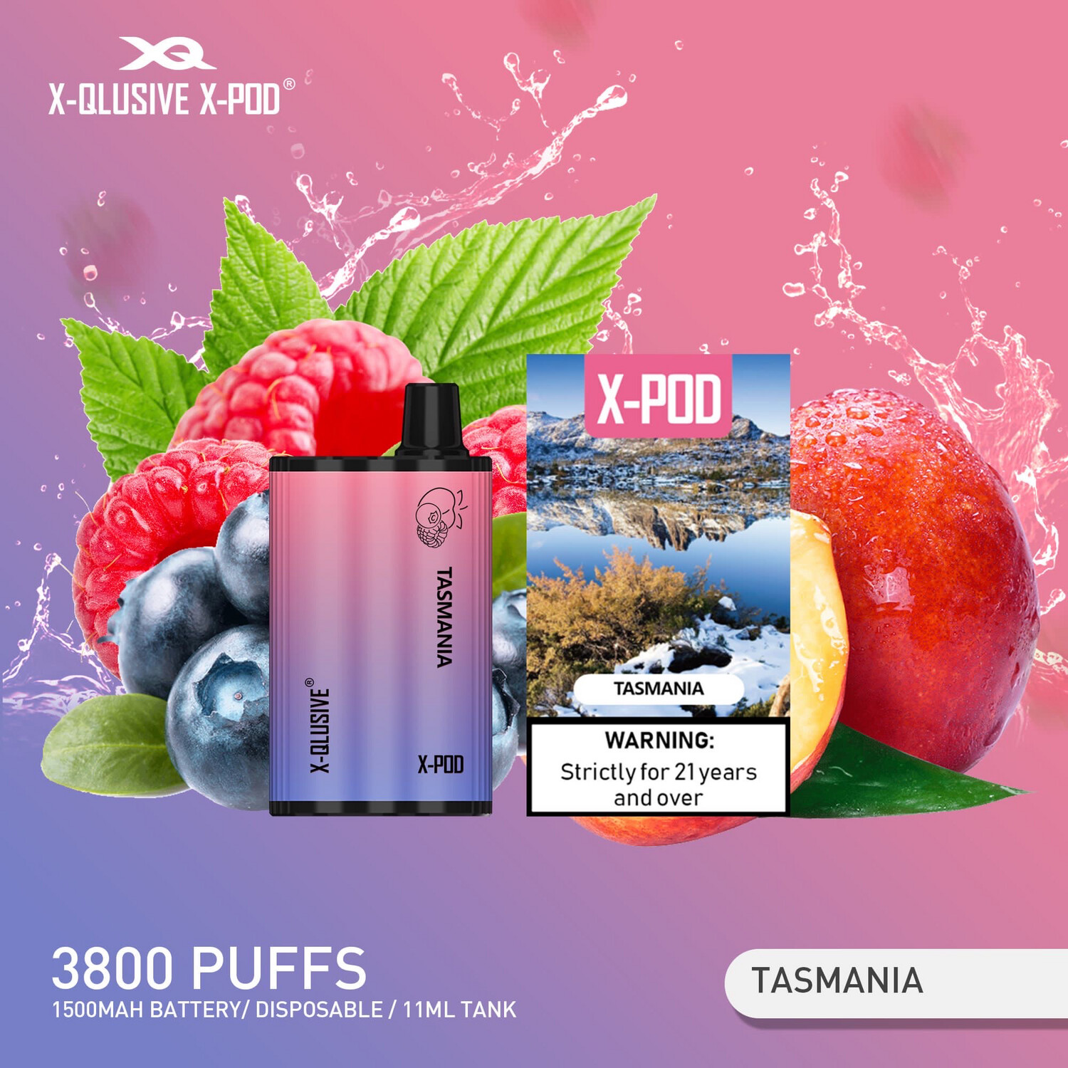 X-QLUSIVE X-POD TASMANIA (Blueberry Raspberry Peach) – 3800 PUFFS — image 1